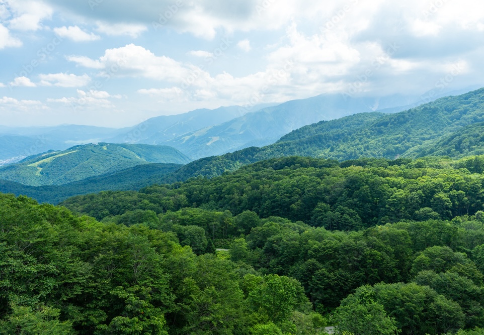 ⼈と⾃然が共⽣する未来を⽬指して